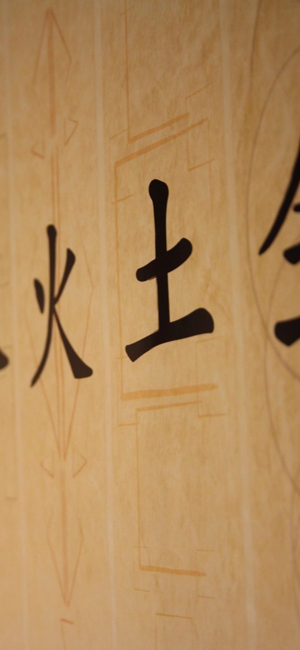 特殊字符 App 首页符号速查列表截图，竖屏界面上纵向排列着分类标签与符号卡片，每张卡片右下角有复制按钮